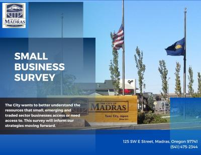 Small business survey - English version 